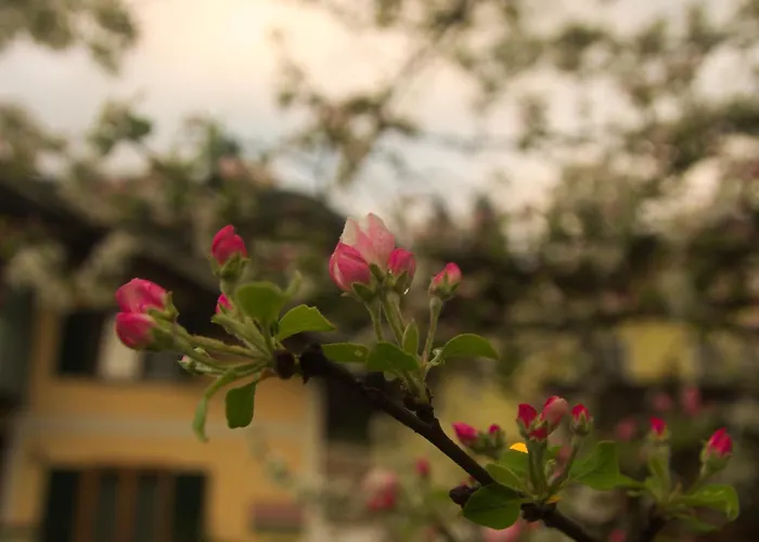 Eckschlager 3* Lofer