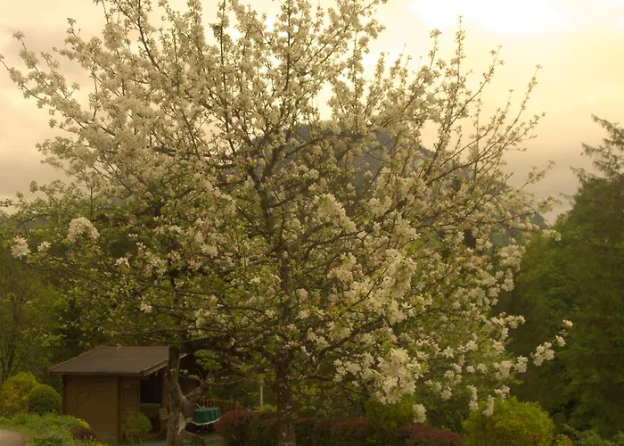 Eckschlager Vendégház Lofer