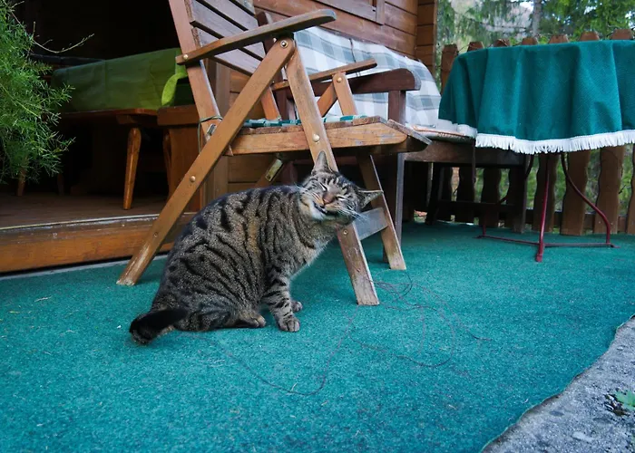 Eckschlager Vendégház 3*