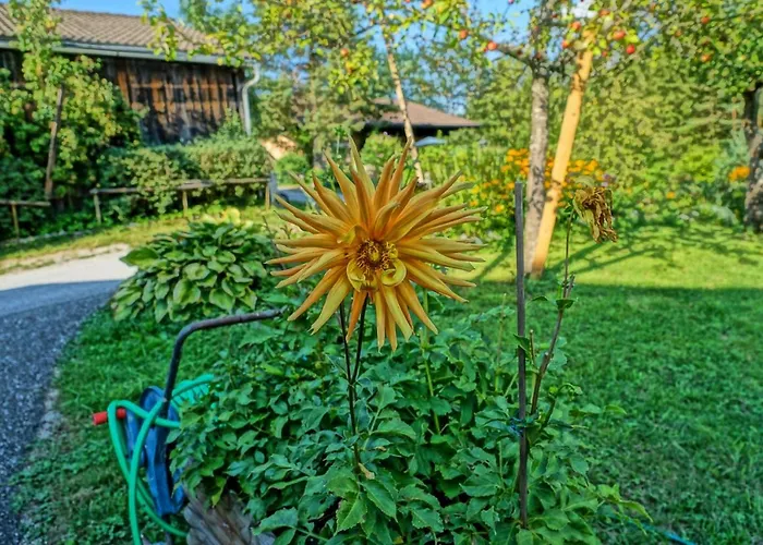 Vendégház Eckschlager 3*